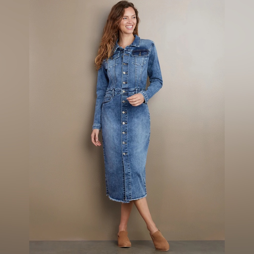 Washlab Piece Dyed Denim Dress, Size M